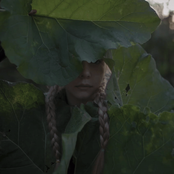 Пресет "Дача"