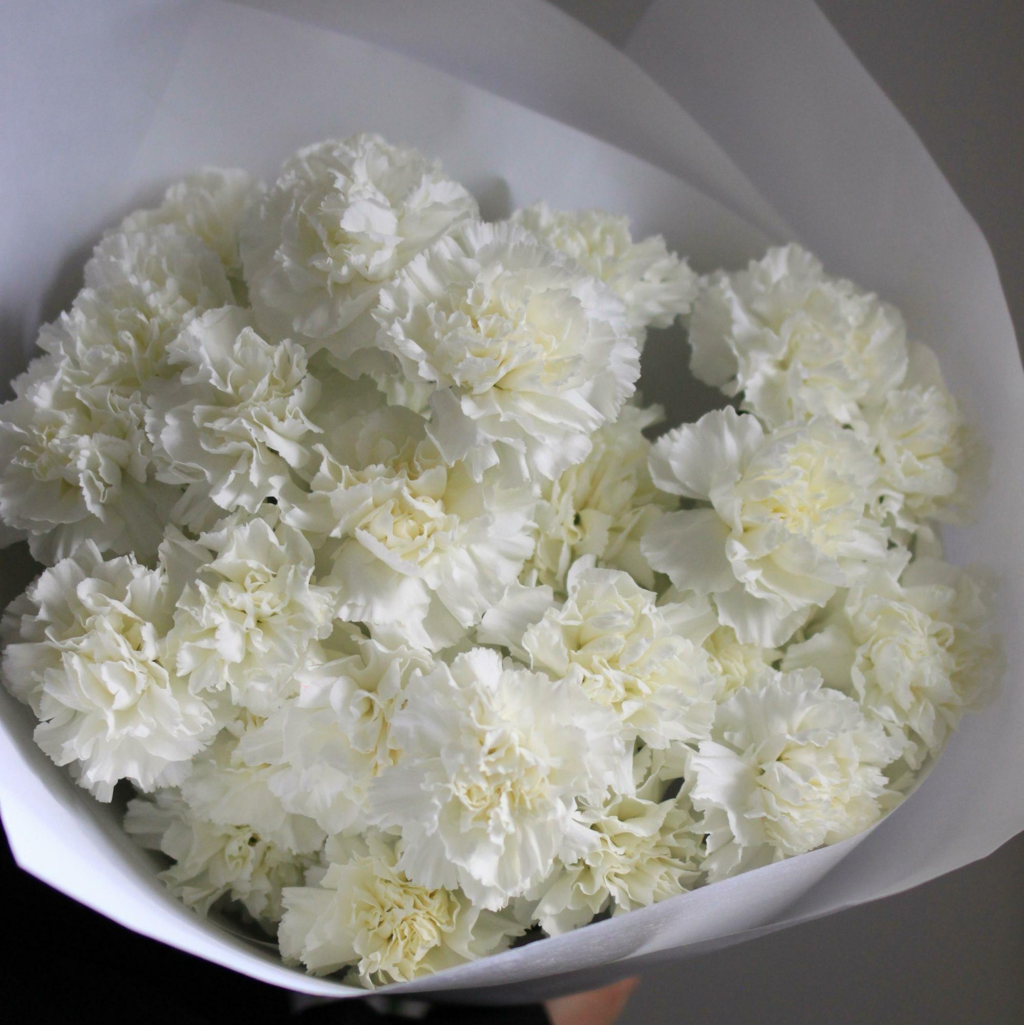 Моно из белых  гвоздик