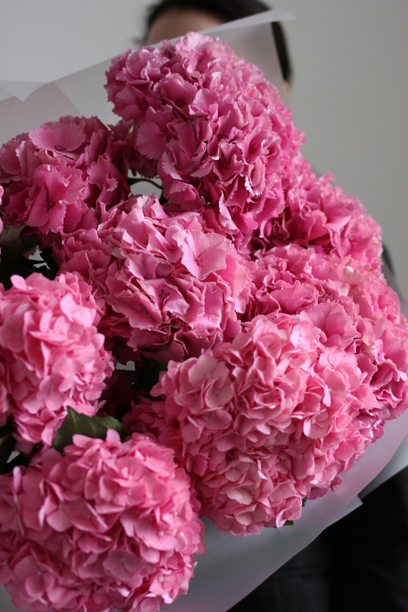 Моно гортензий