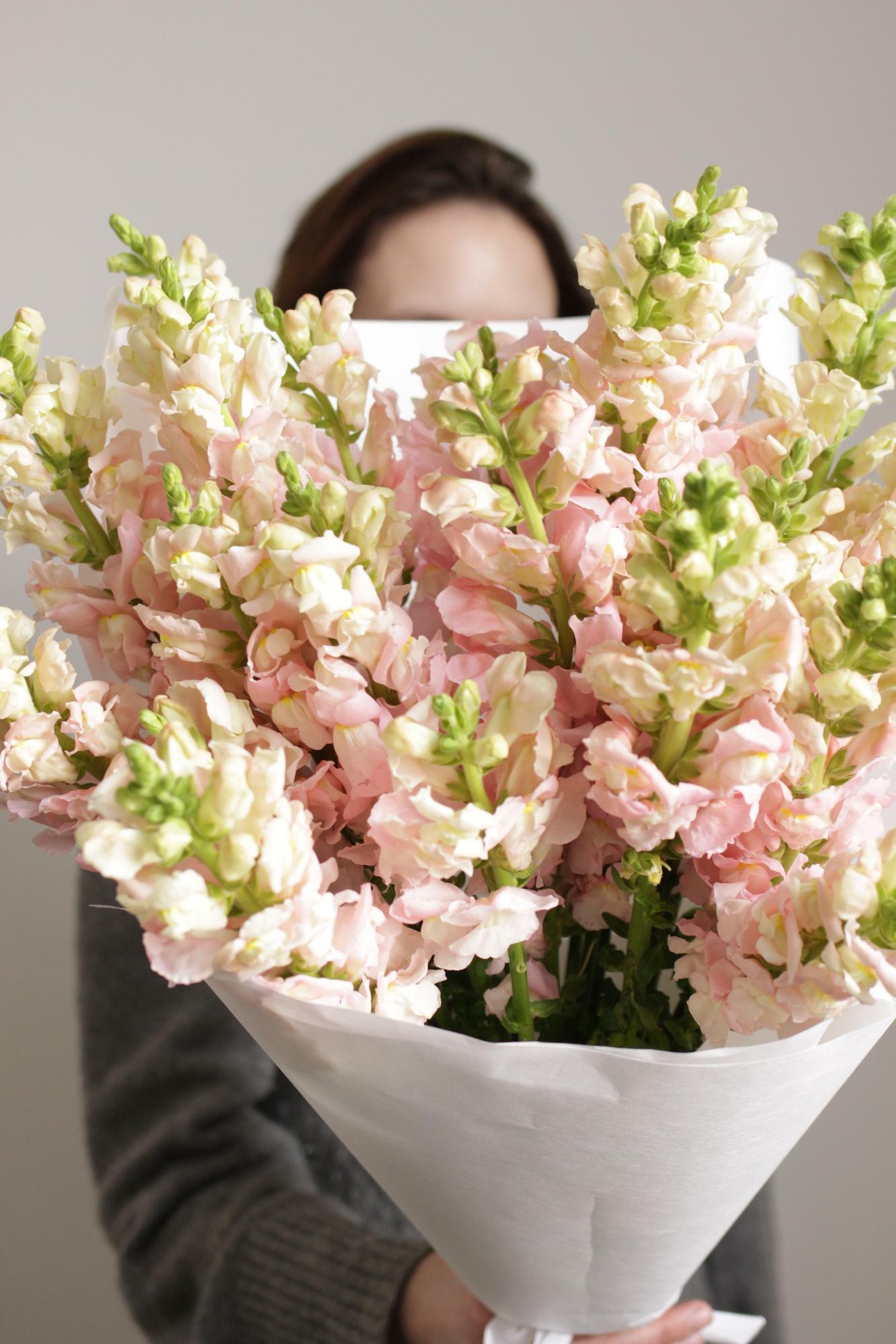 Букет леувенбеков