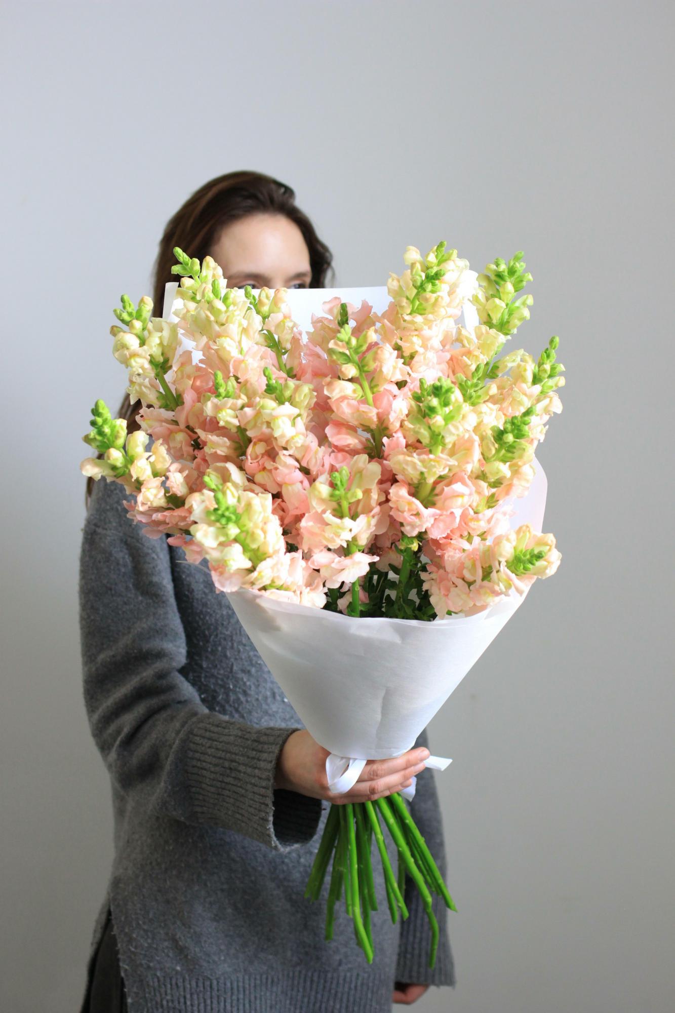 Букет леувенбеков