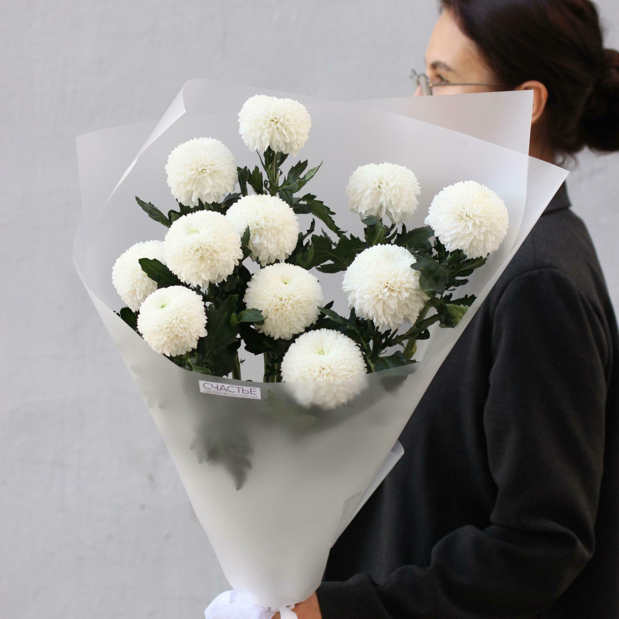 Пушистые хризантемы