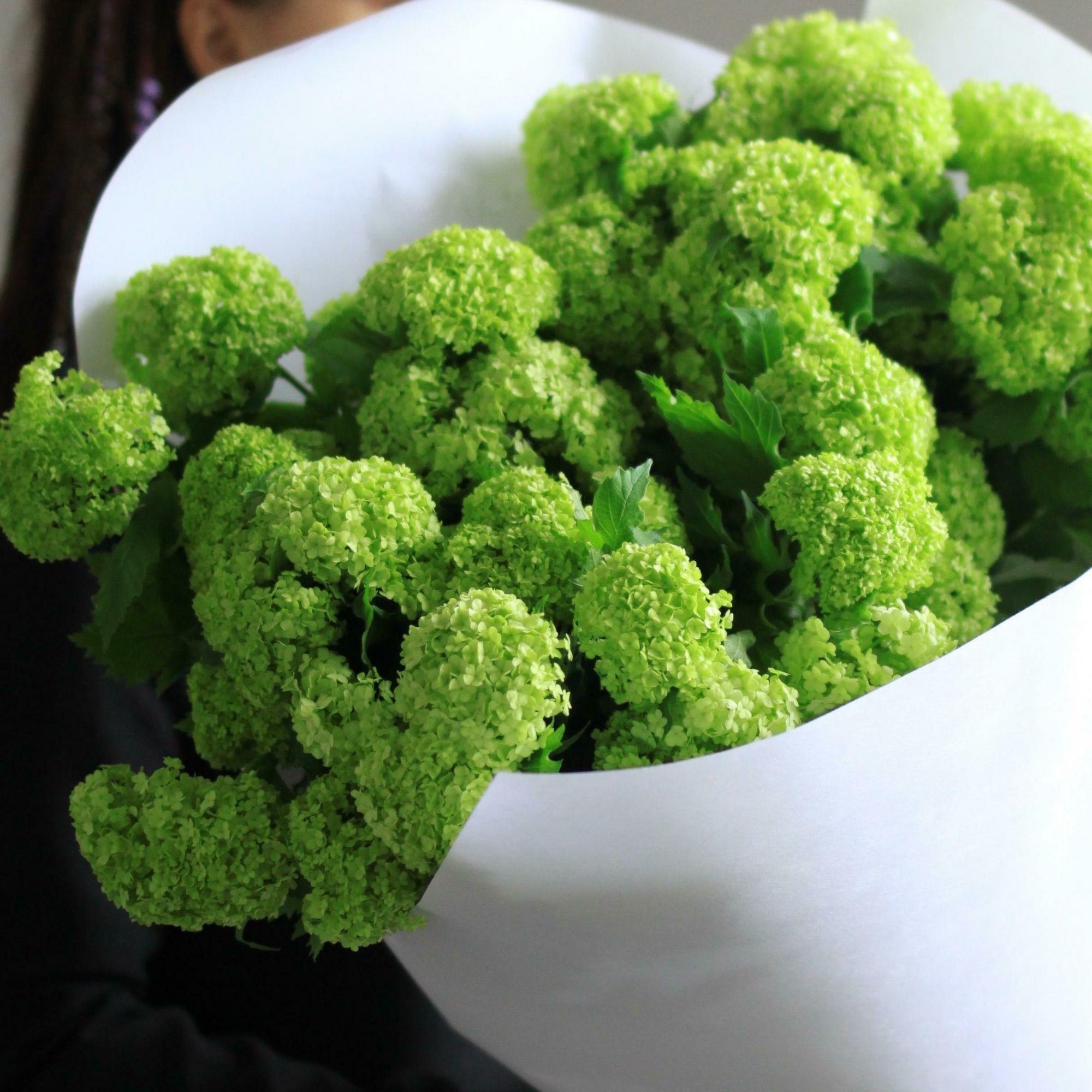 Букет Вибурнума