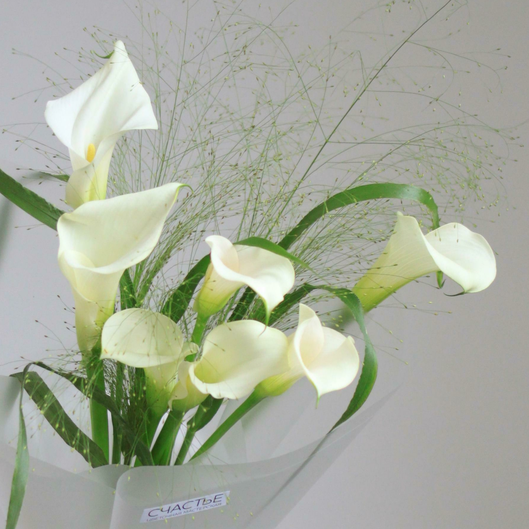 Белоснежное моно