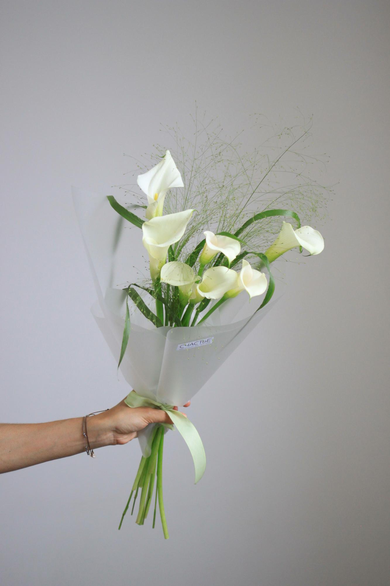 Белоснежное моно