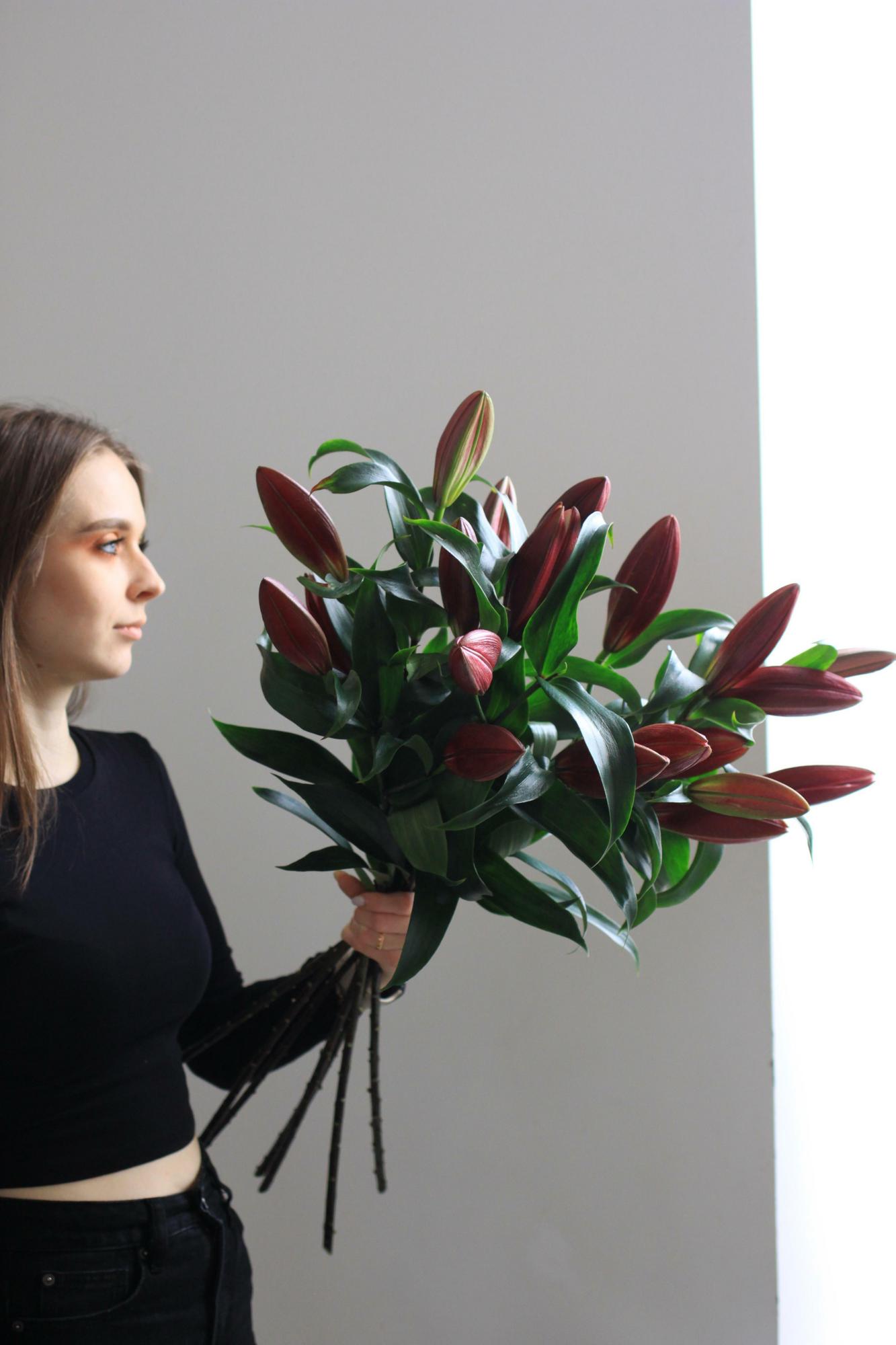 Моно бордовых лилий