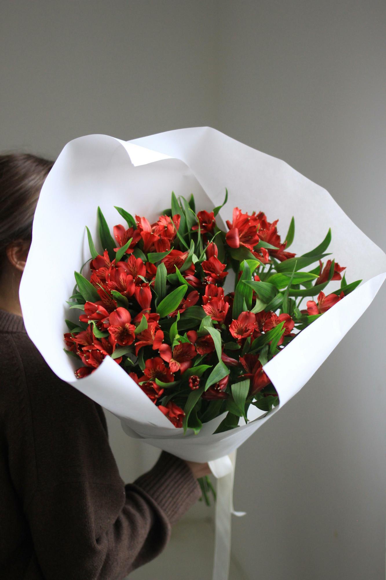 Моно красных альстромерий