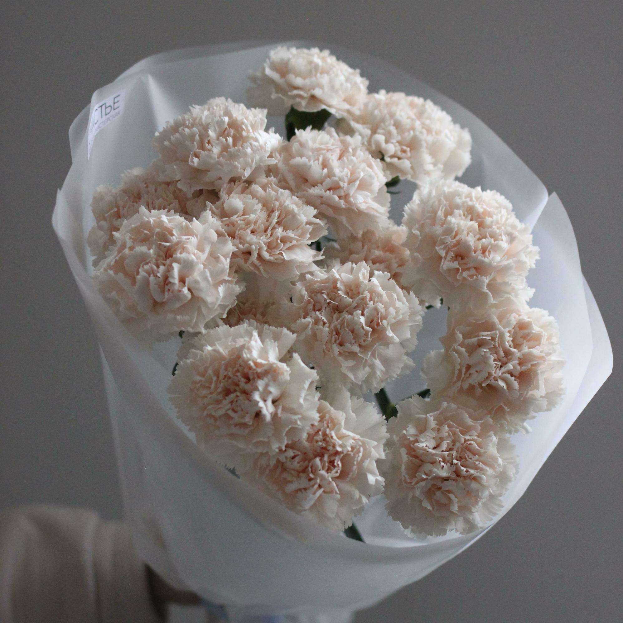 Нежный букет гвоздик