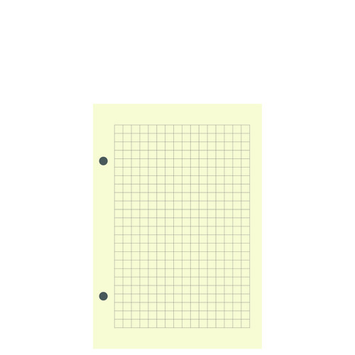 Сменный блок А6 в клетку