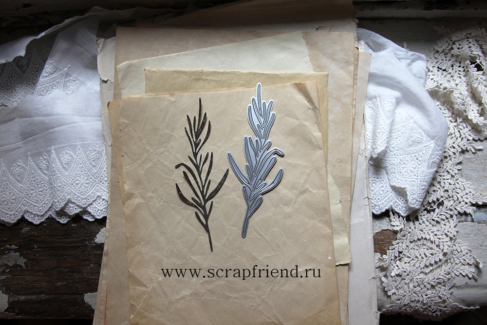 Нож для вырубки Тархун, 4,5х13,5см, Scrapfriend