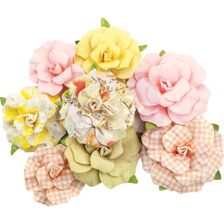 Цветы Toronja/Fruit Paradise, 8/Pkg