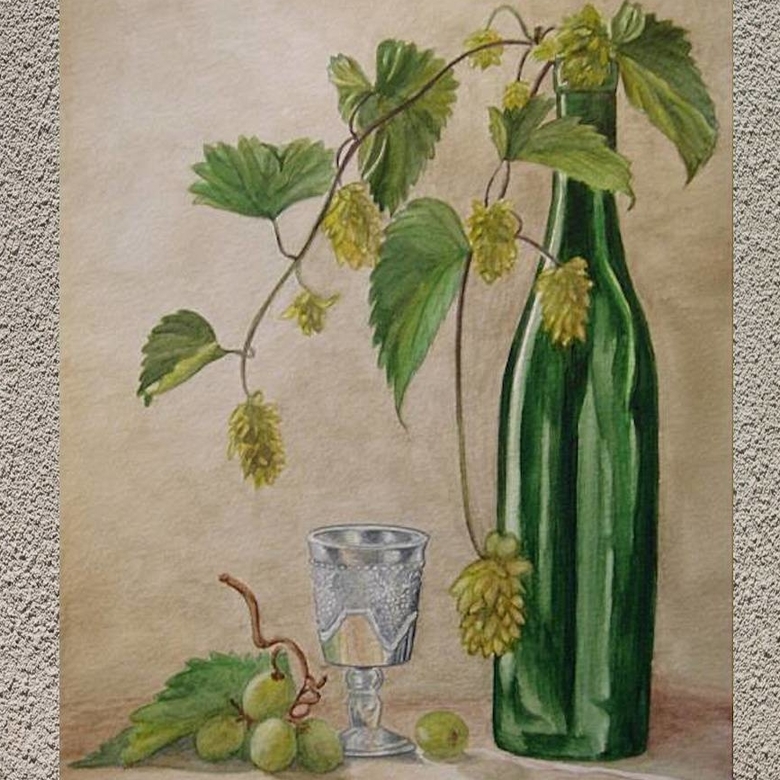 натюрморт акварель бутылка хмель виноград