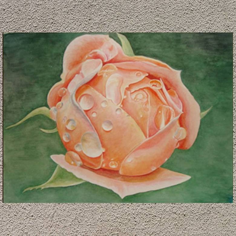 цветы акварель натюрморт роза капля росы