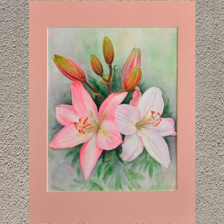 цветы акварель натюрморт лилии розовые белые нежные бутоны