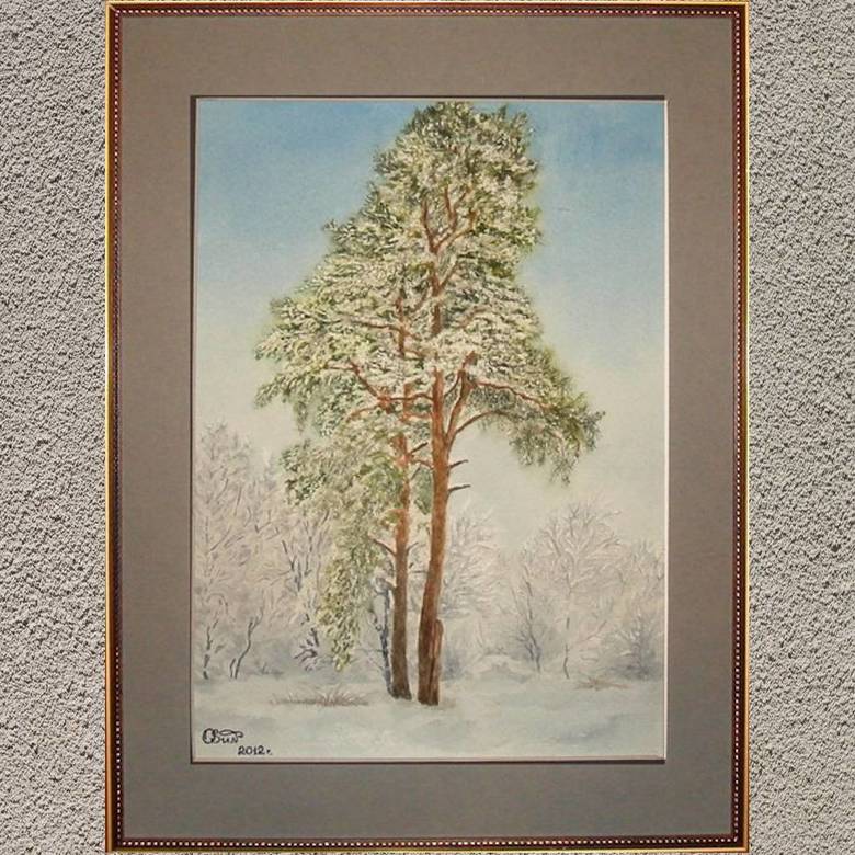 пейзаж акварель зима две сосны, лес, снег сугробы небо