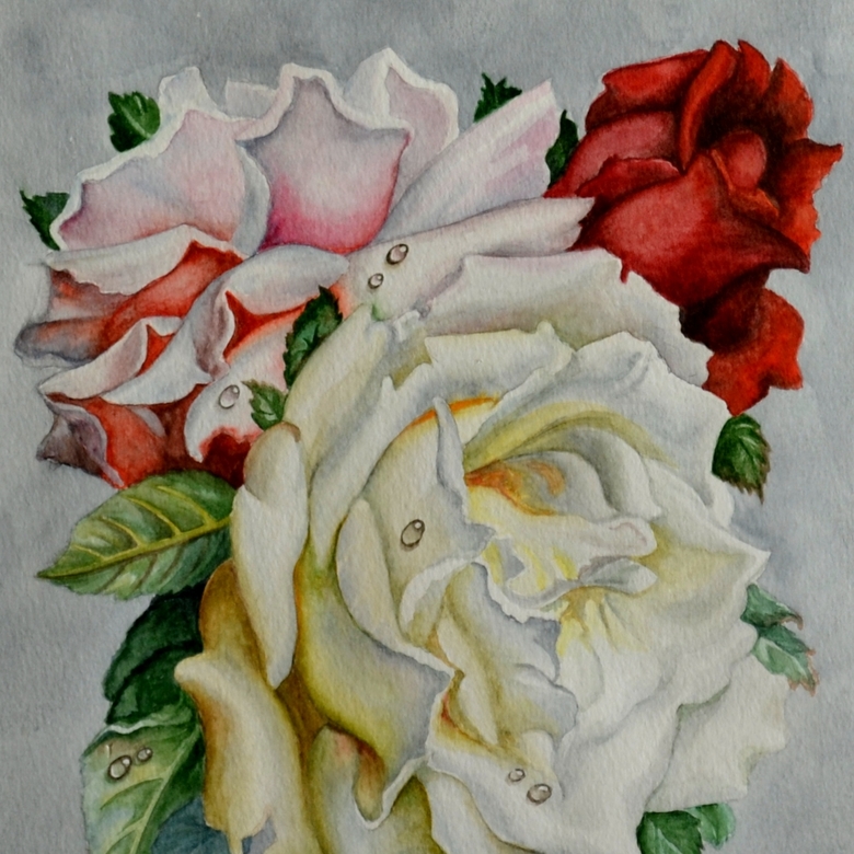 цветы акварель натюрморт мини букет красные розовые розы капли росы 160