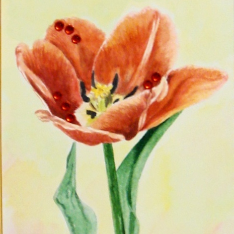 цветы акварель натюрморт красные тюльпаны стразы 184 в раме