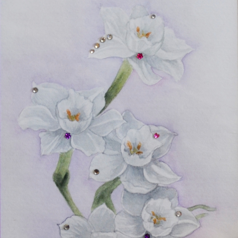 цветы акварель натюрморт белые нарциссы стразы 188