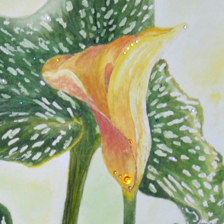 цветы акварель натюрморт желтая калла стразы 189