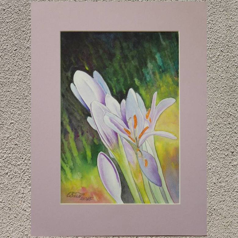 "Крокусы" № 229