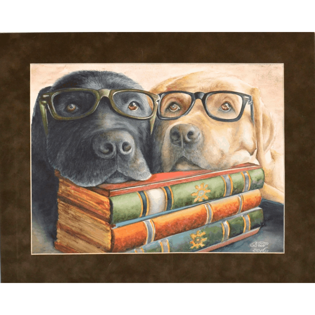 "Лабрики-очкарики"  № 293