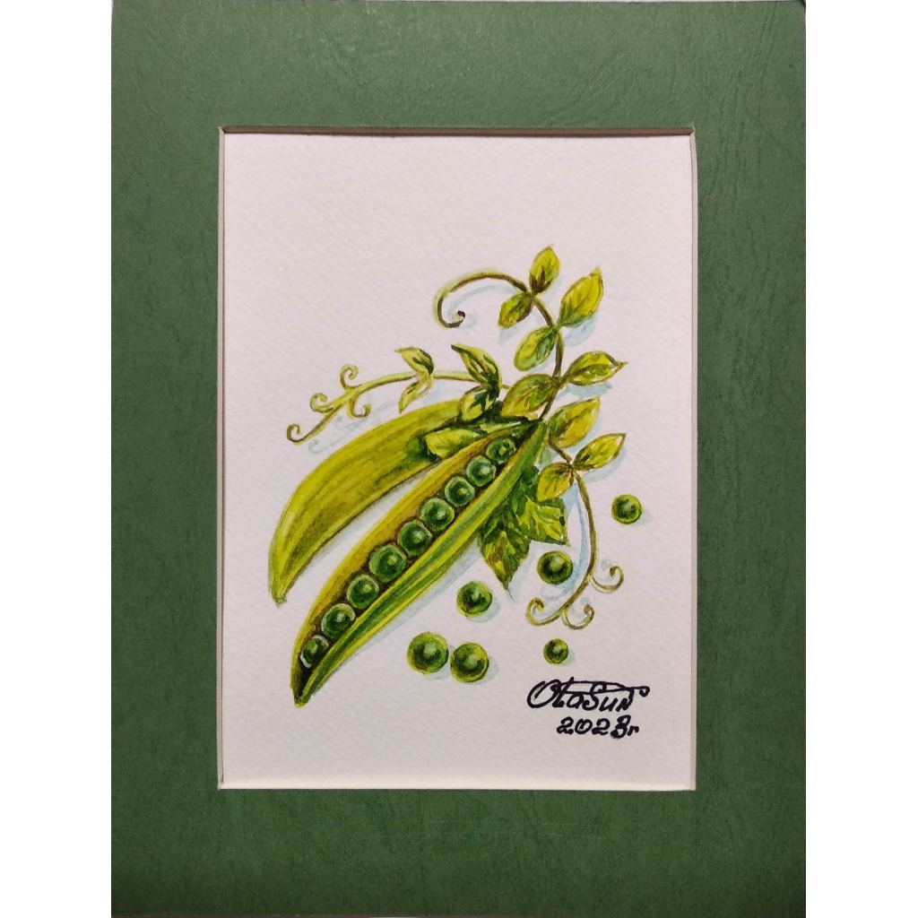 "Денежный горох с веточкой" № 341