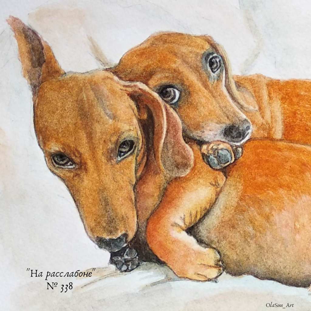 "На расслабоне" № 338