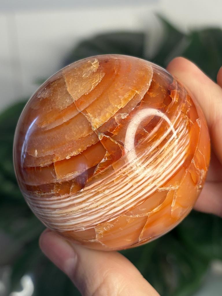 Сердолик (5,5см)