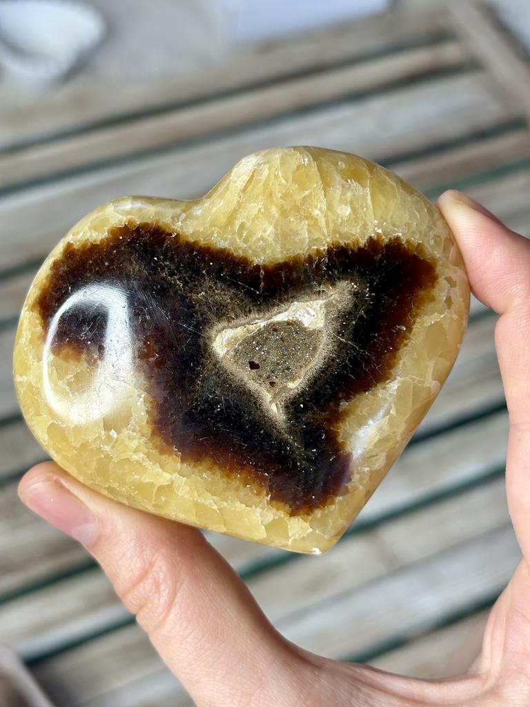 Септария (сердце)