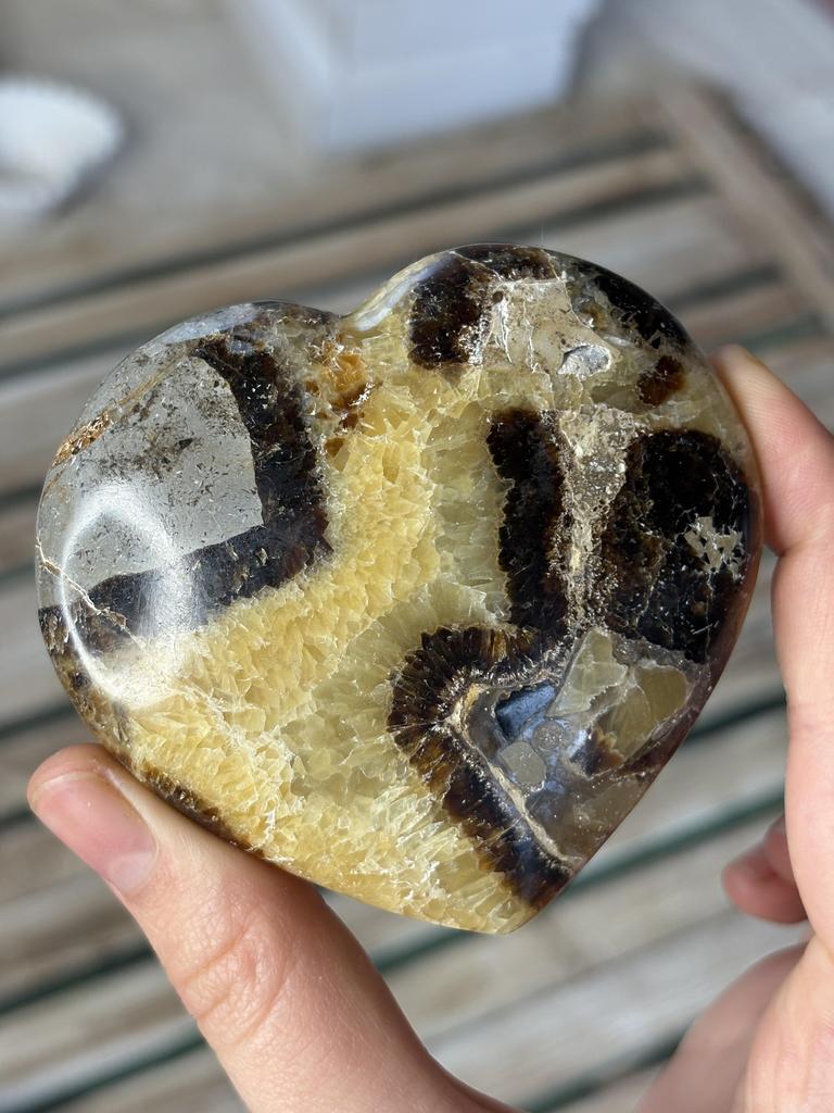 Септария (сердце)