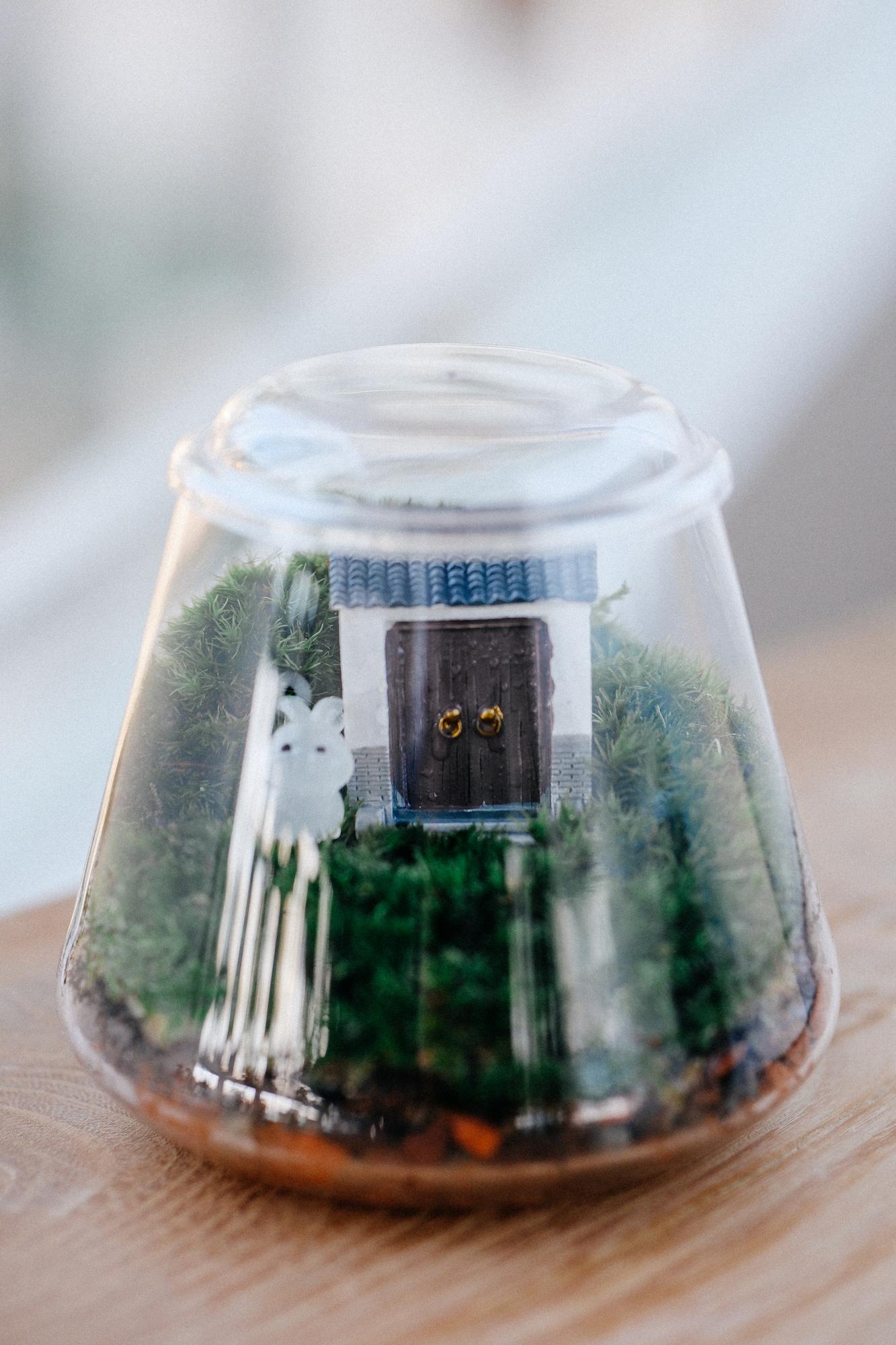 Моссариум трапеция