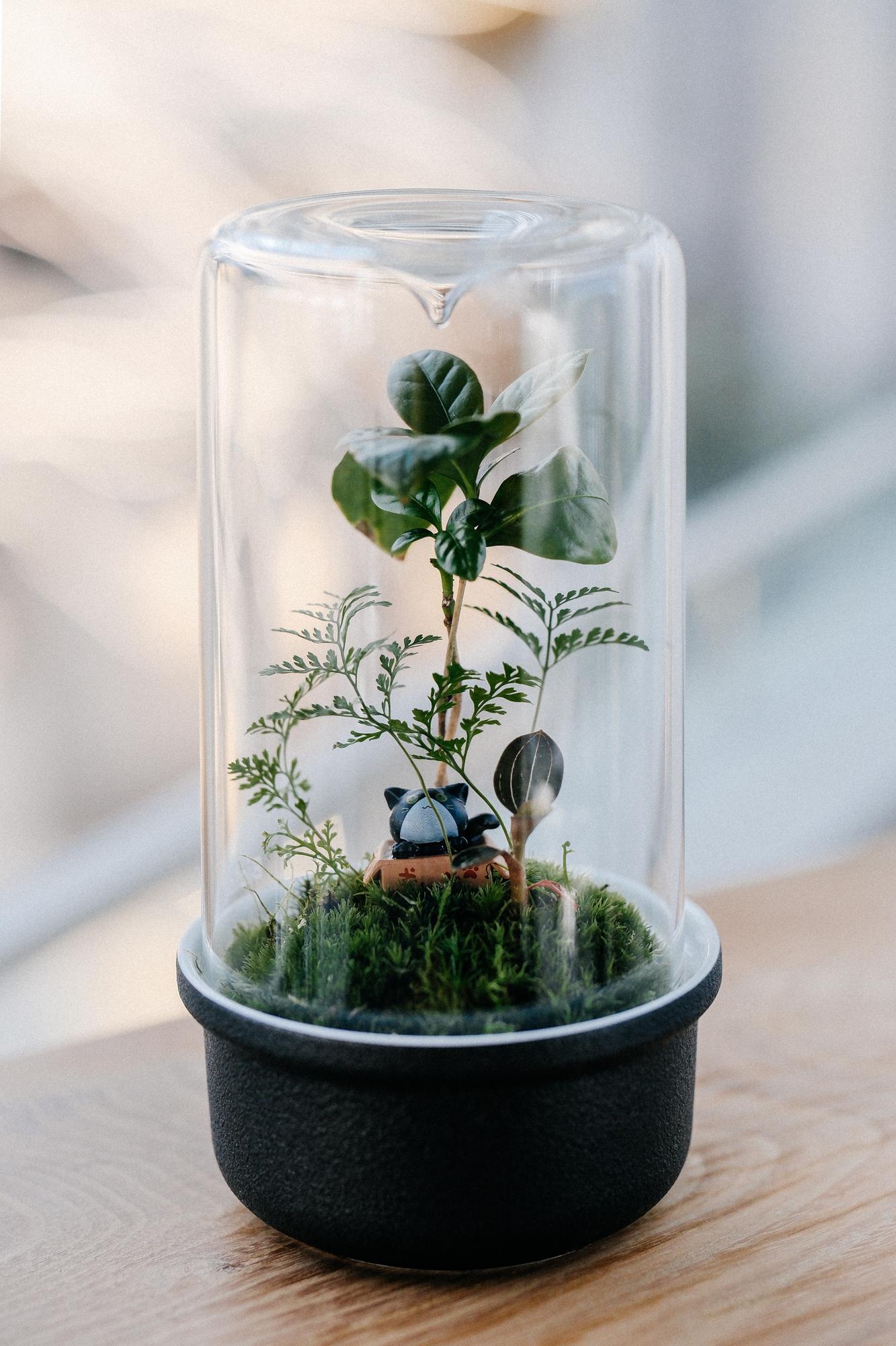 Лес в стекле Dome 100