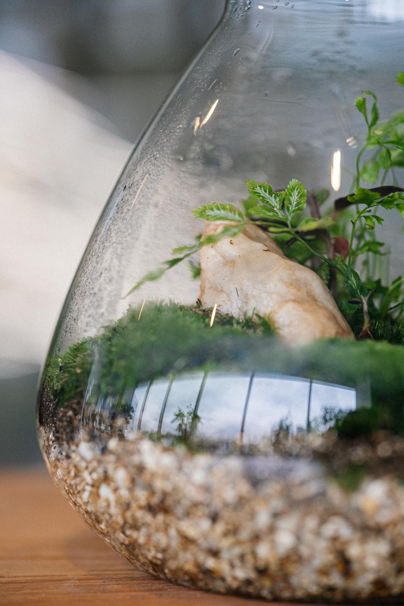 Лес в стекле Flask