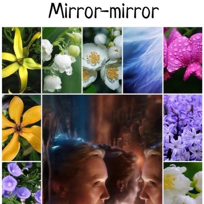 Mirror-mirror