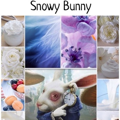 Snowy Bunny