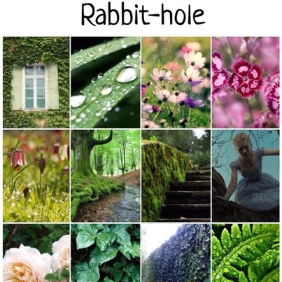 Rabbit-hole