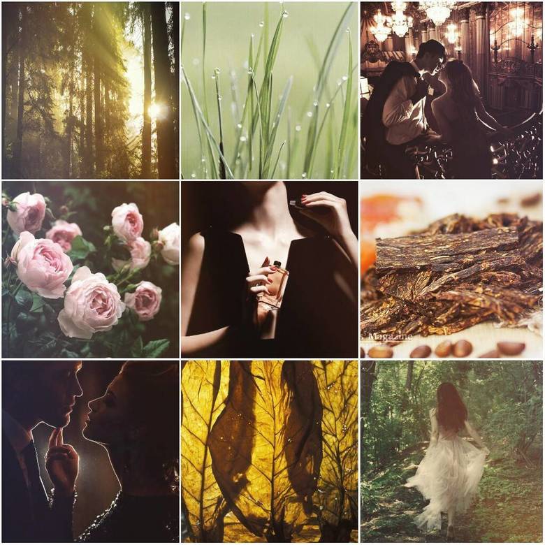 XVI DARK VETIVER (new edition)