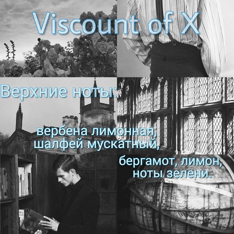 Viscount of X