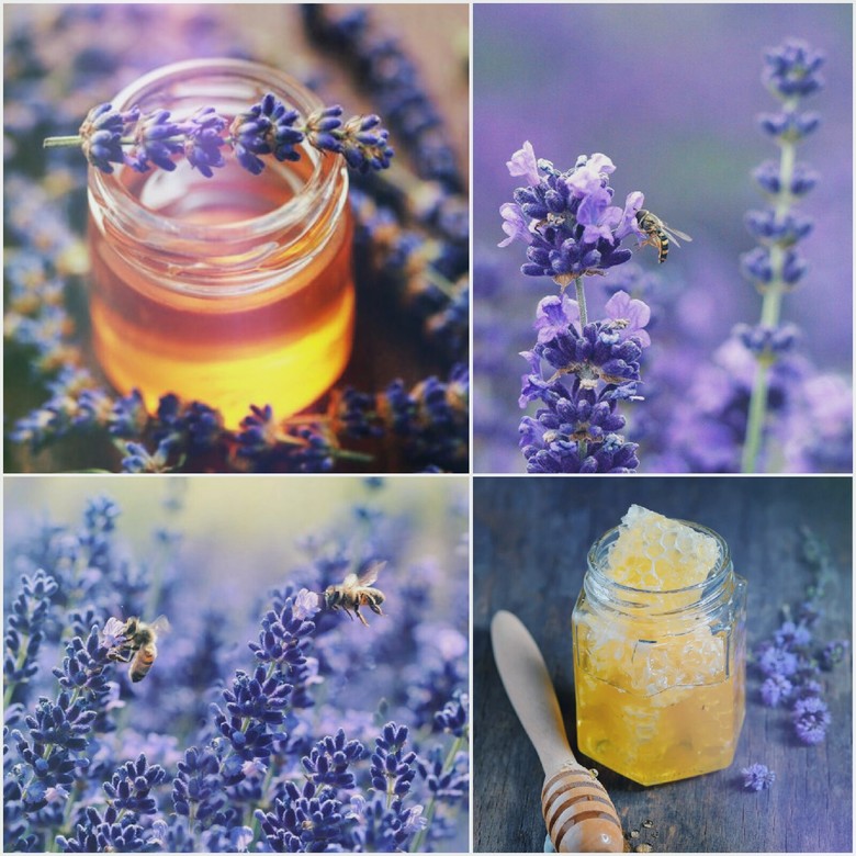 Lavender honey