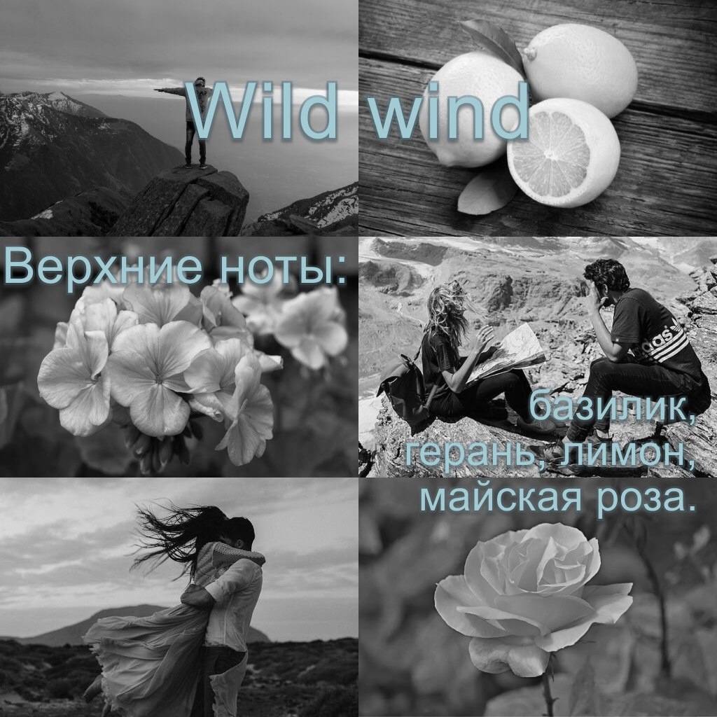 Wild wind