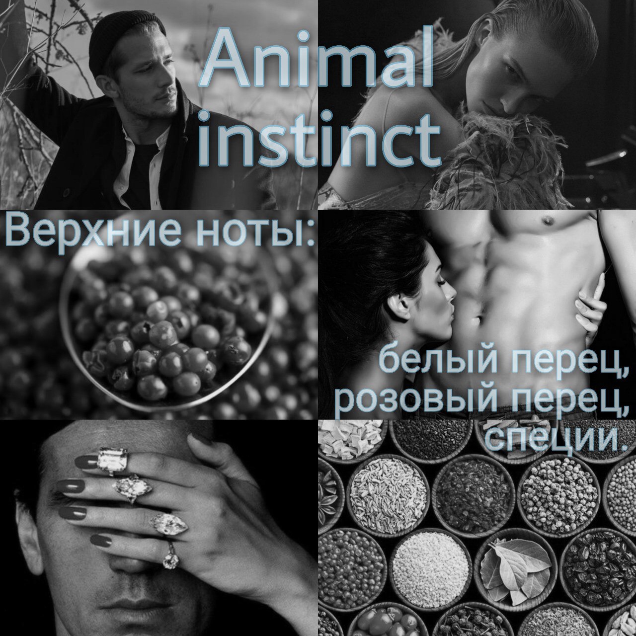 Animal instinct
