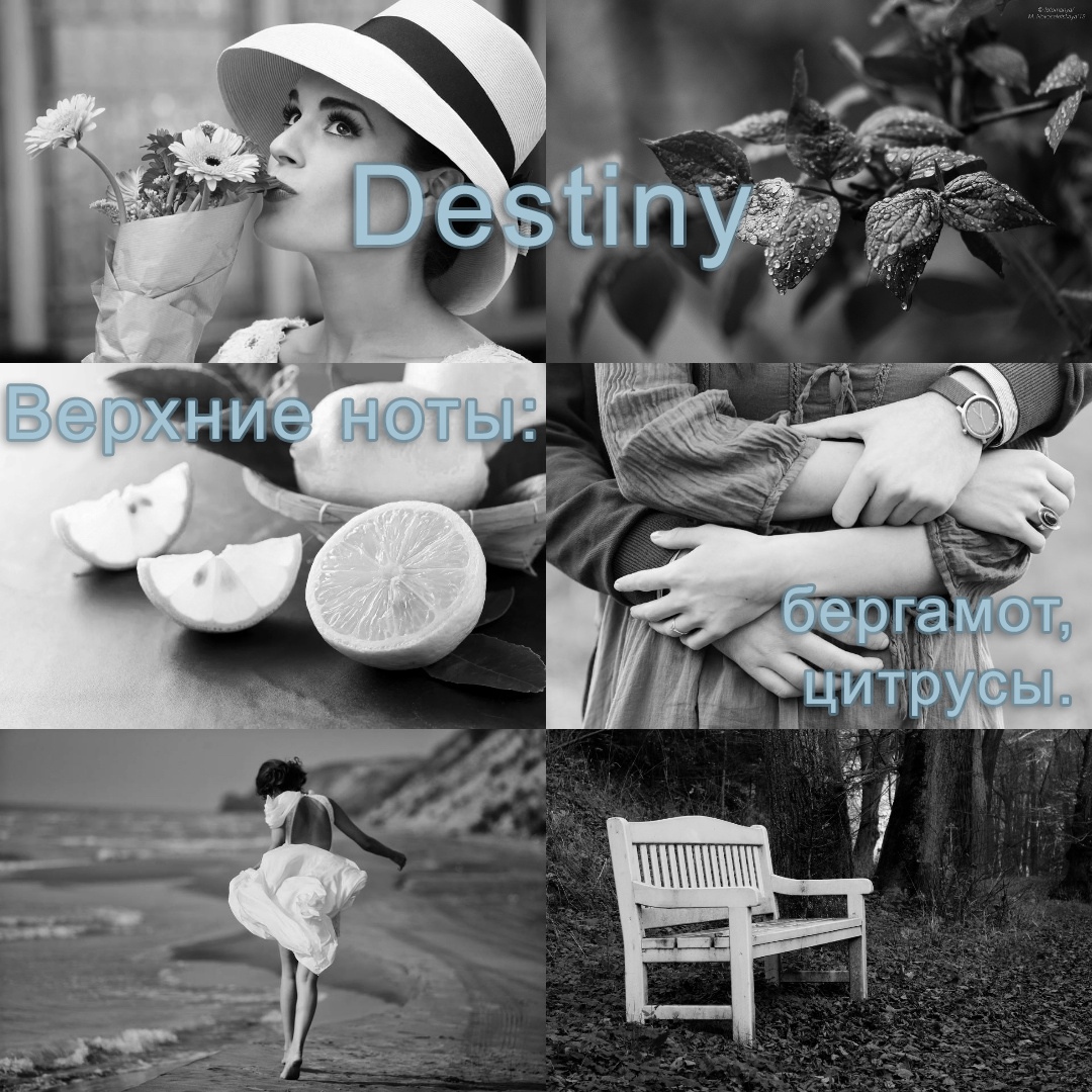 Destiny