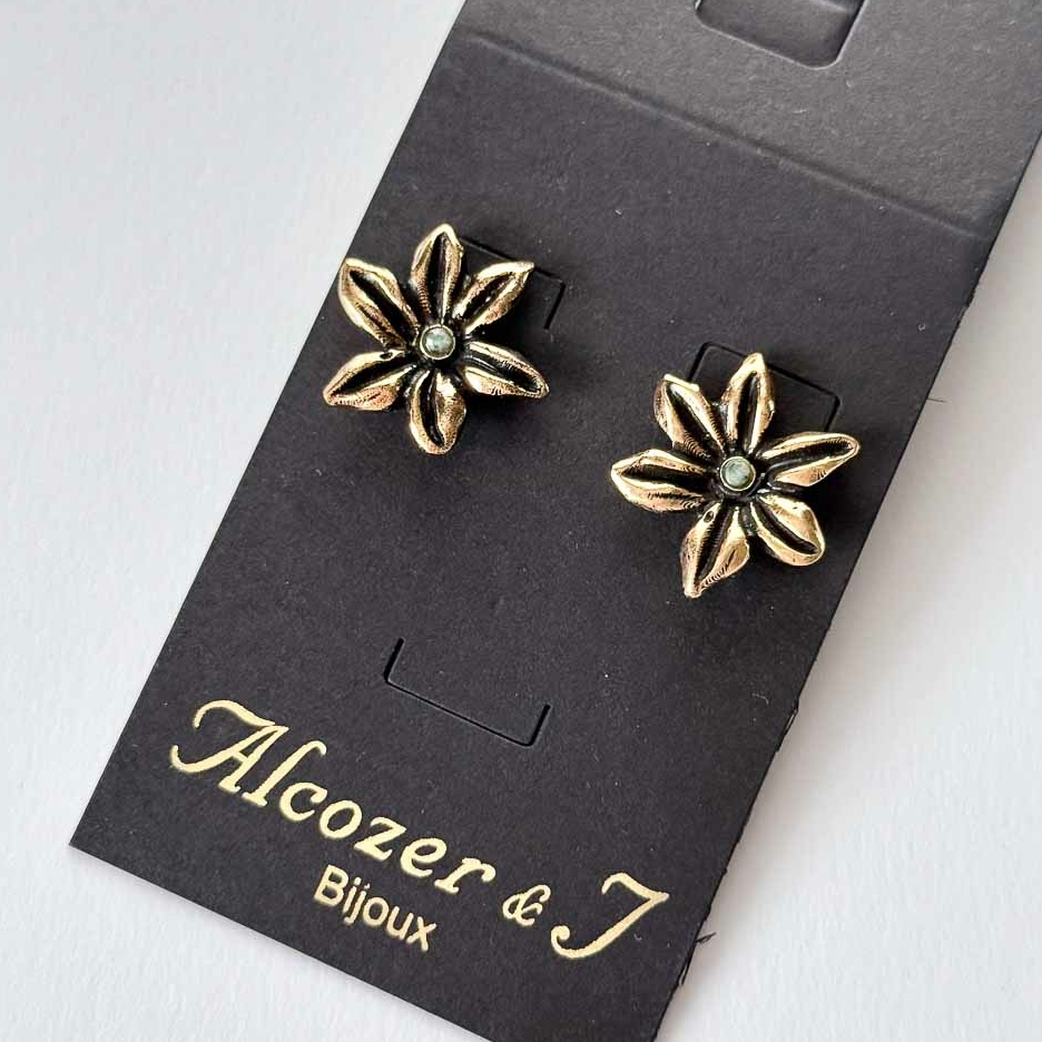 Серьги ALCOZER & J O28CM24