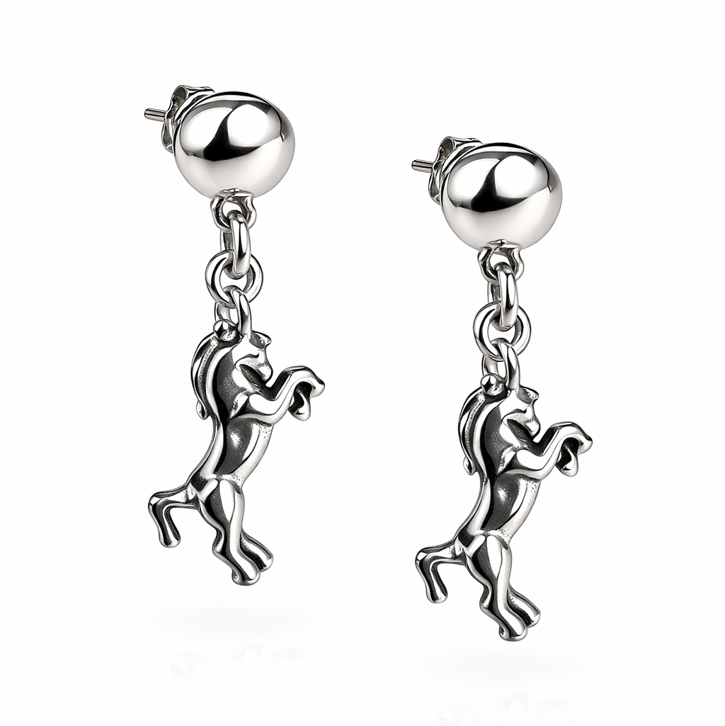 Серьги Ciclon RUS601