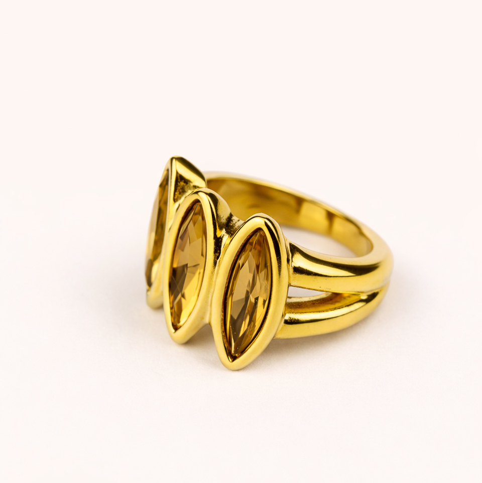 Кольцо Ciclon 260505 IRIS