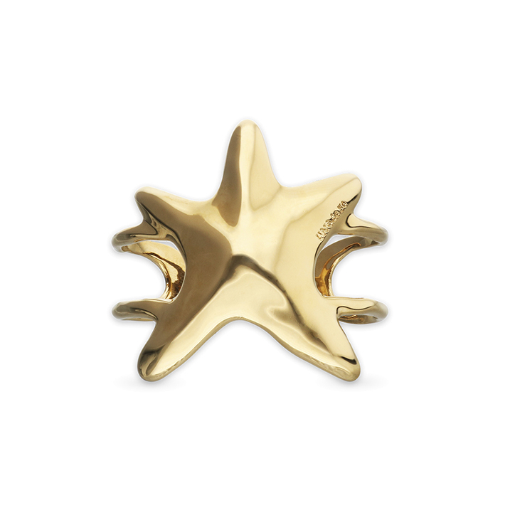 Браслет Дитя звезд, с золотом  PUL2651ORO0000