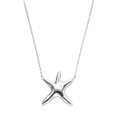 Ожерелье Астерия, с серебром  COL2086MTL0000U