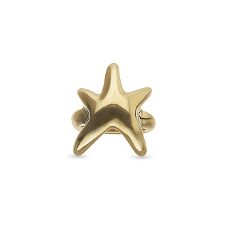 Кольцо Астерия, с золотом  ANI0881ORO00015