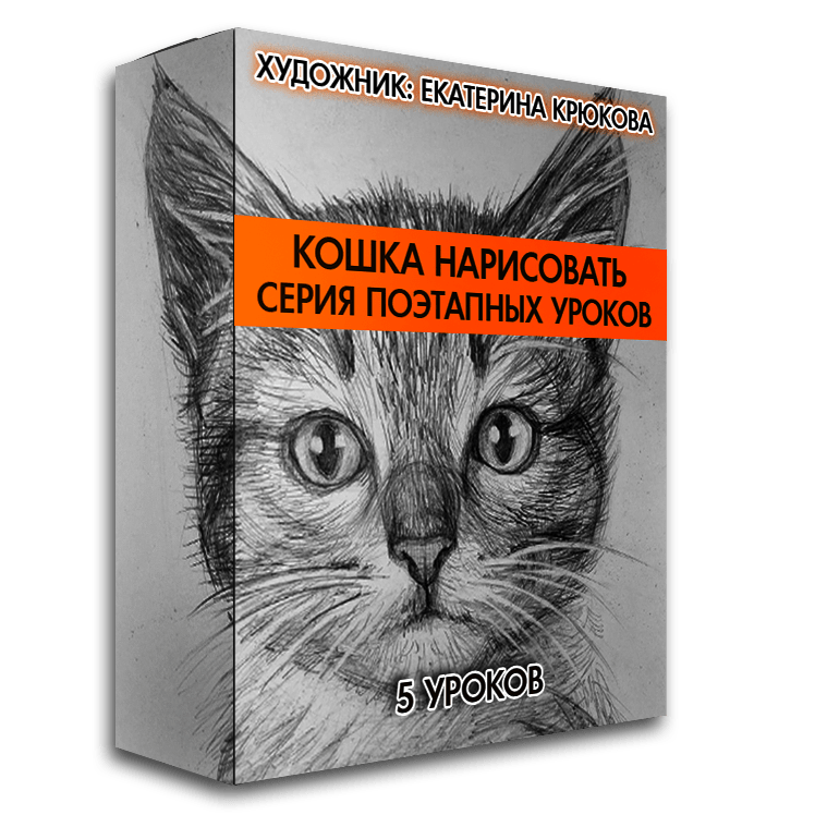 КОШКА НАРИСОВАТЬ. СЕРИЯ ПОЭТАПНЫХ УРОКОВ