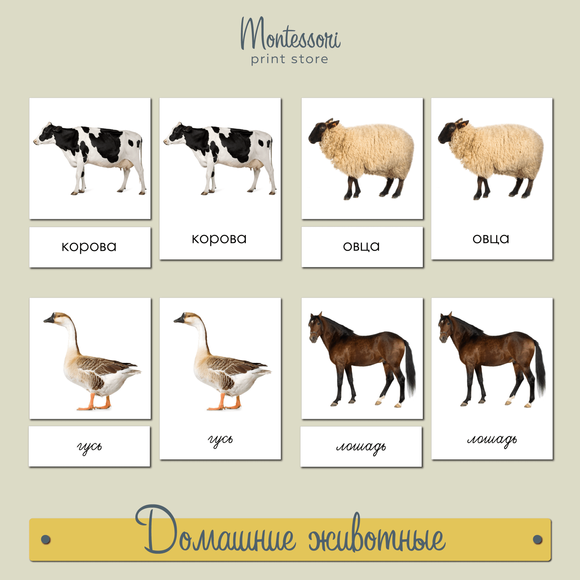 Трехчастные карточки Домашние животные - карточки Монтессори купить и скачать